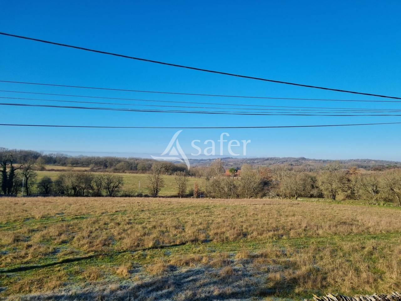 Azienda ovina In vendita Lot