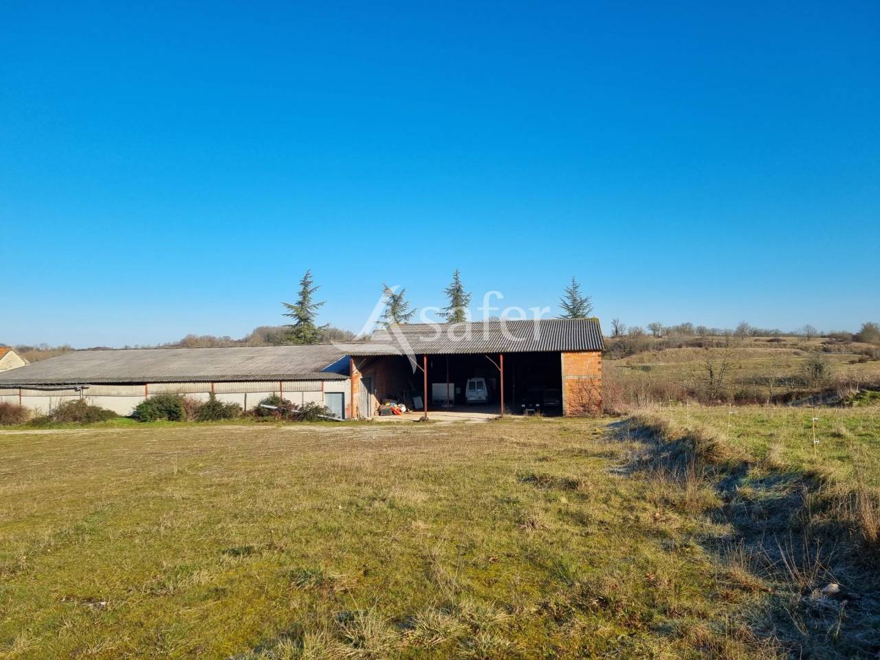 Azienda ovina In vendita Lot