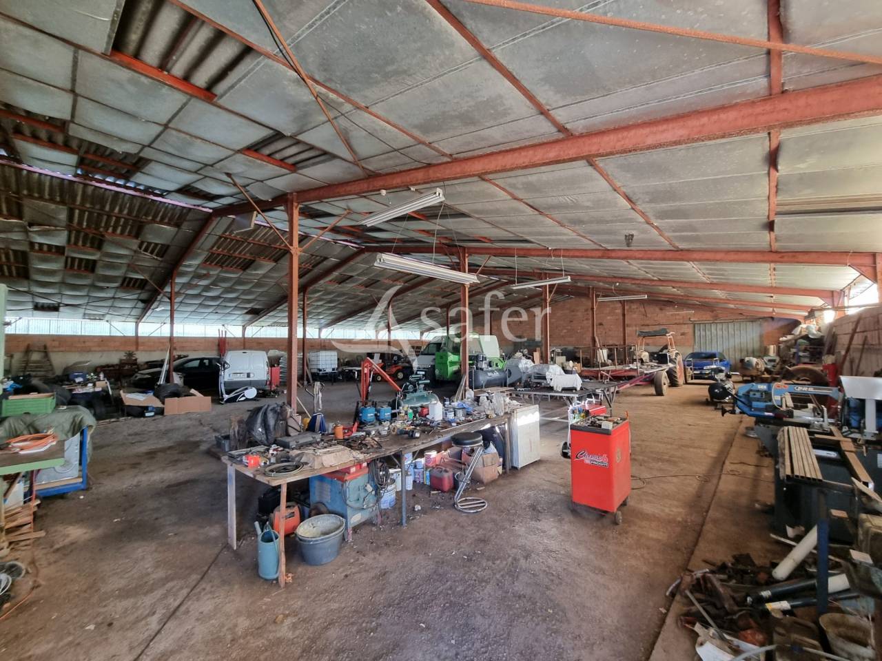 Azienda ovina In vendita Lot