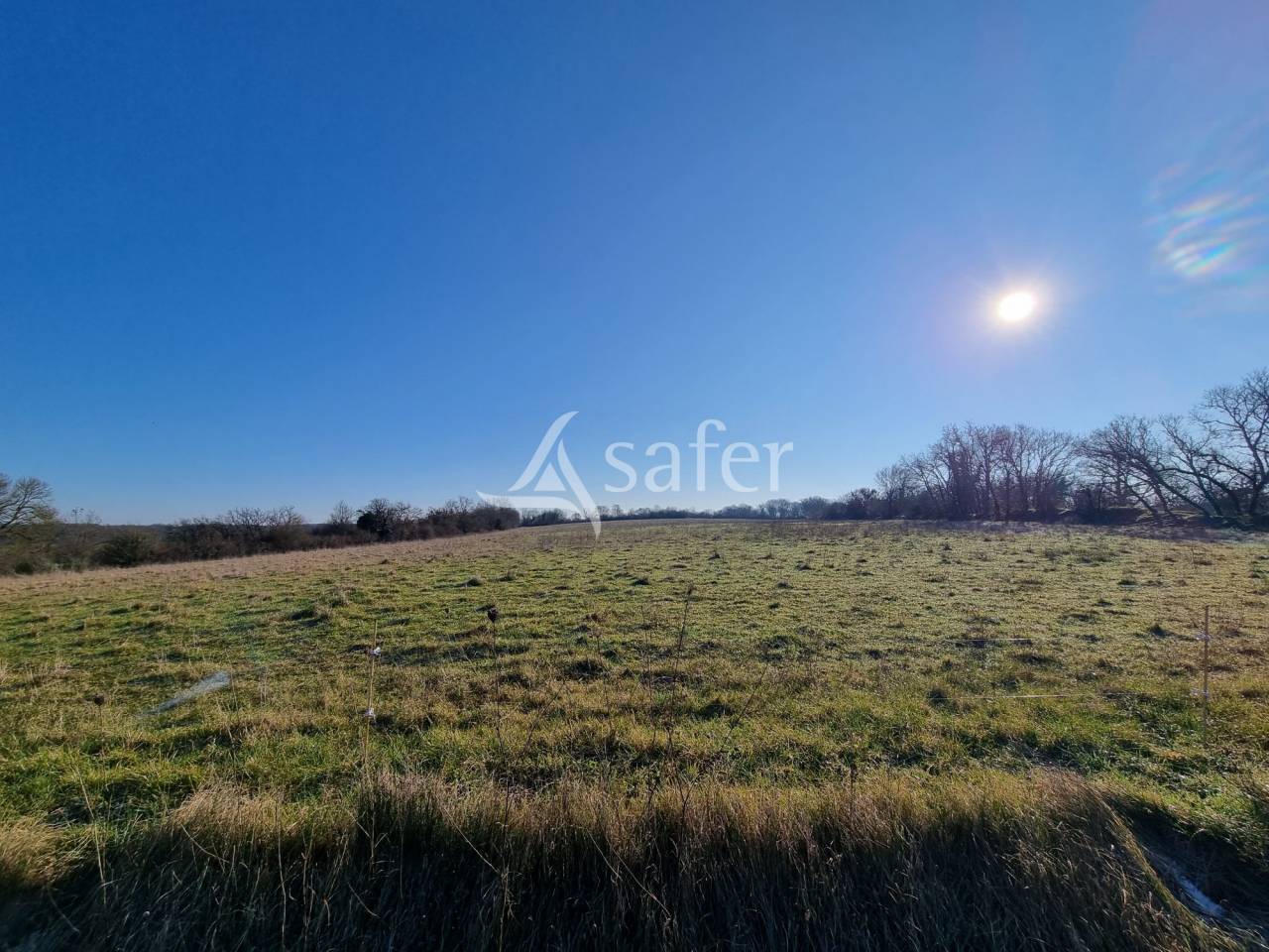 Azienda ovina In vendita Lot