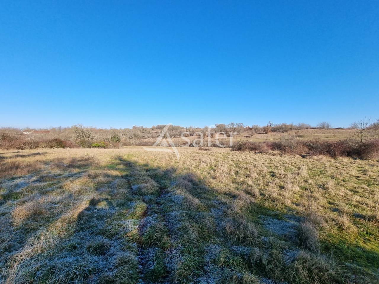 Azienda ovina In vendita Lot