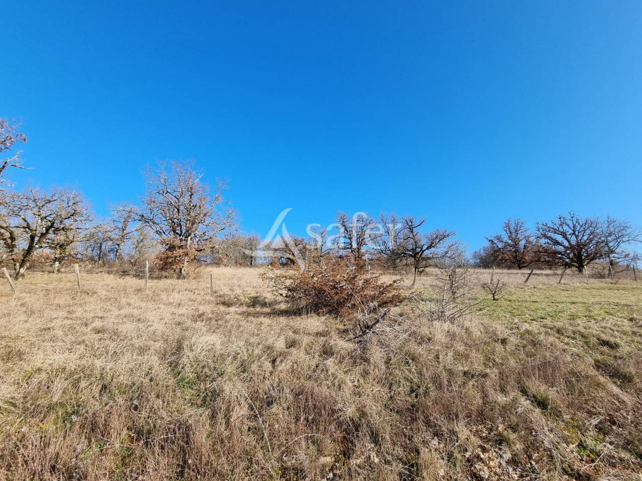 Azienda ovina In vendita Lot