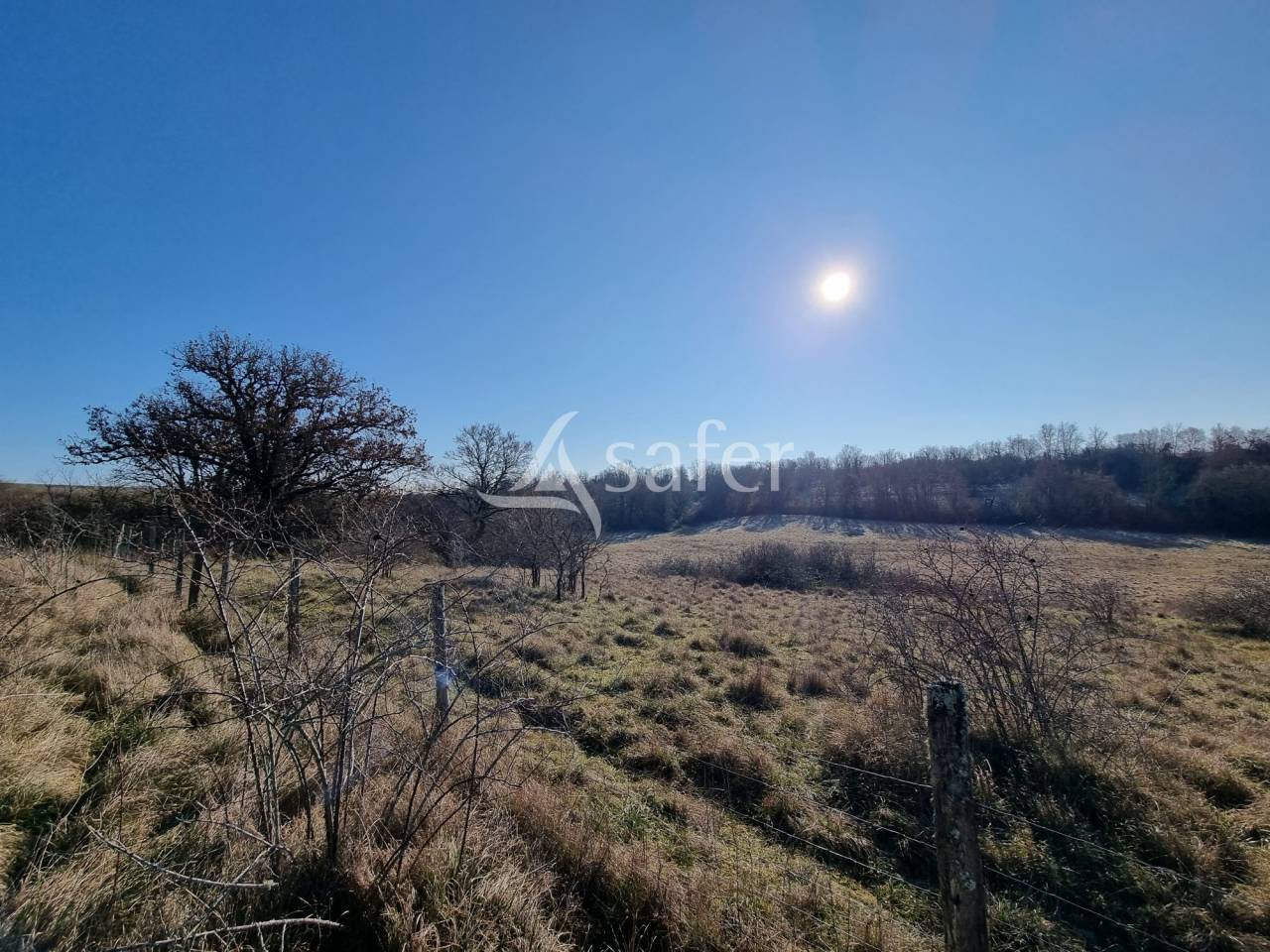 Azienda ovina In vendita Lot