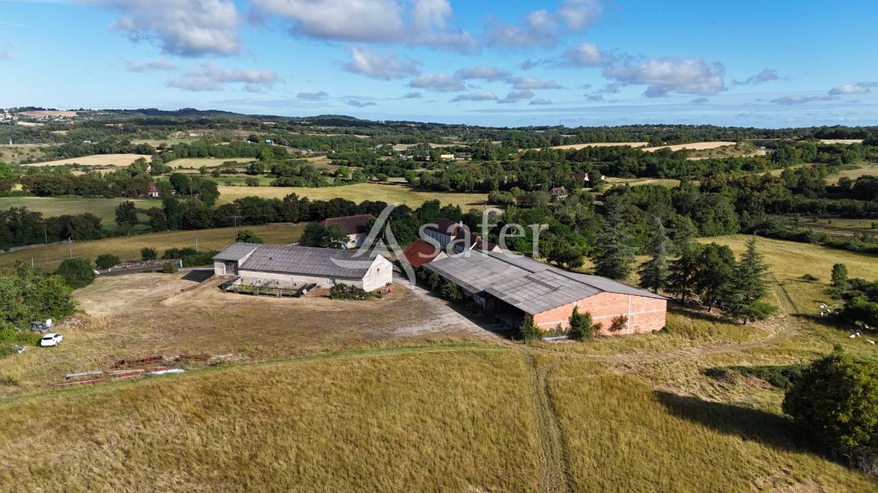 Azienda ovina In vendita Lot