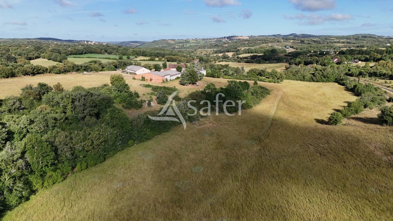 Azienda ovina In vendita Lot