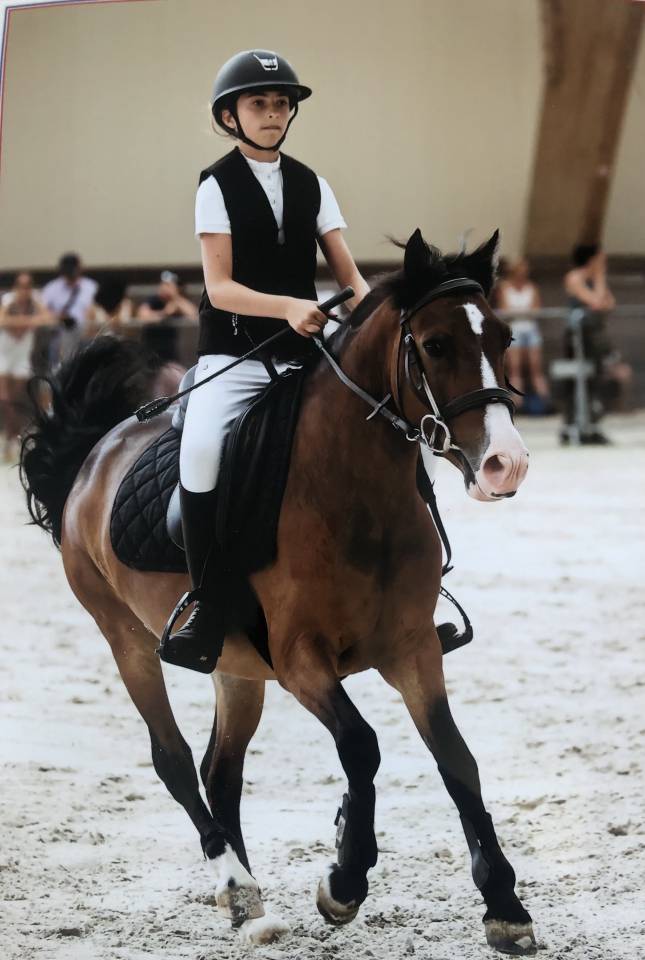 Castrone PFS Pony Francese da Sella Noleggio 2019 Baio