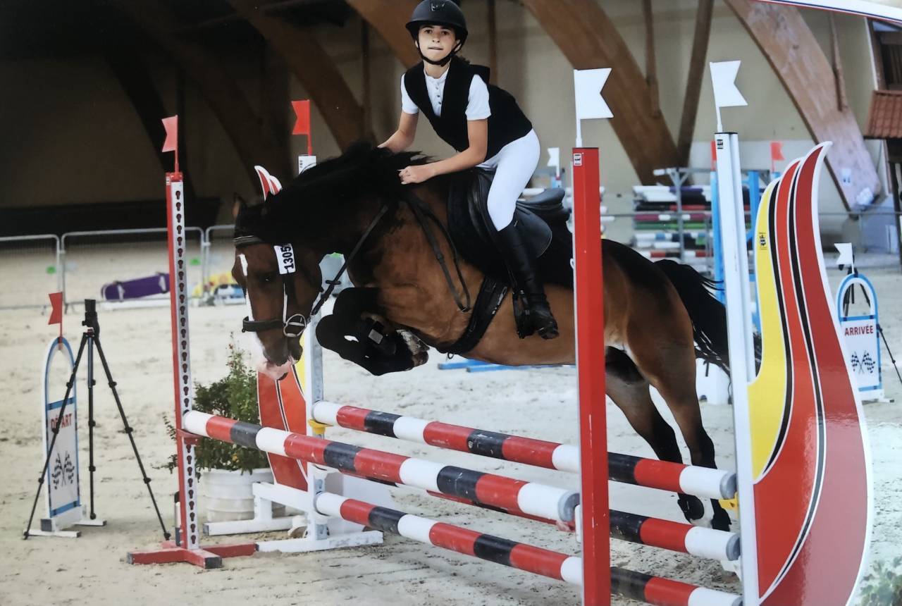 Castrone PFS Pony Francese da Sella Noleggio 2019 Baio