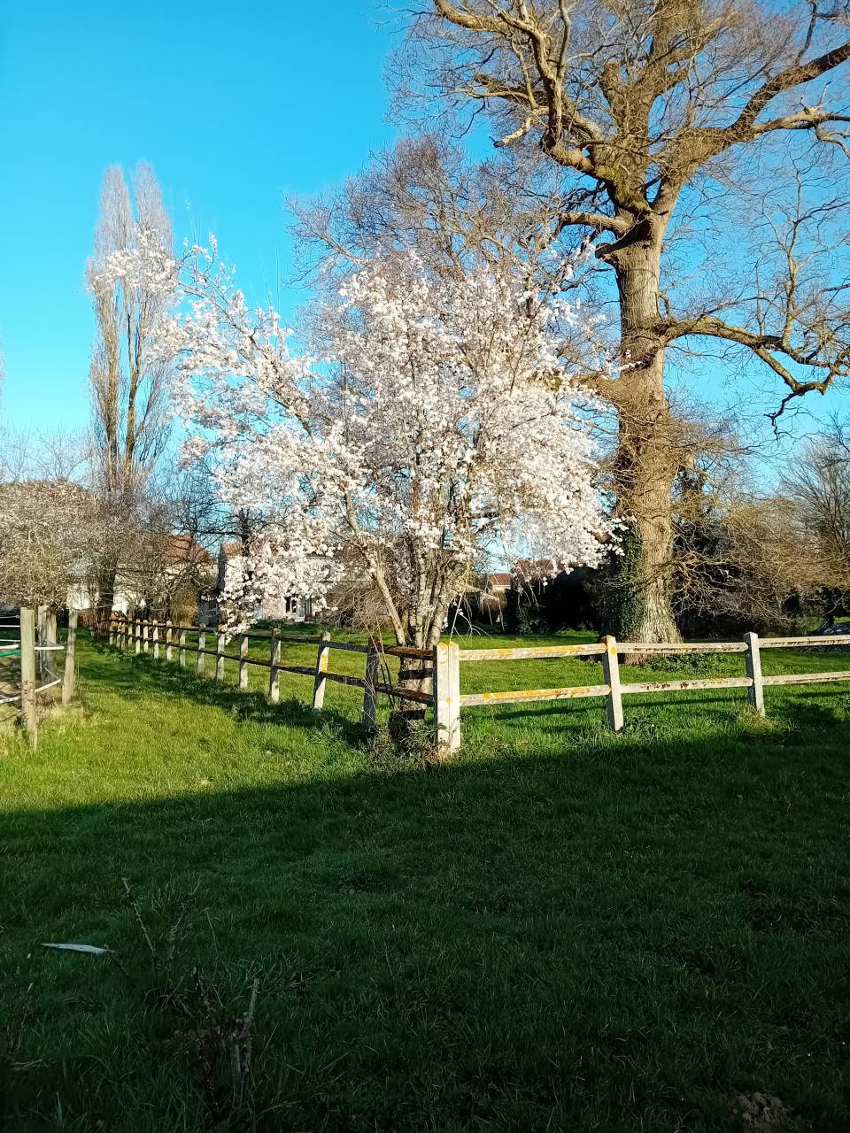 Bella dimora equestre In vendita Charente-Maritime