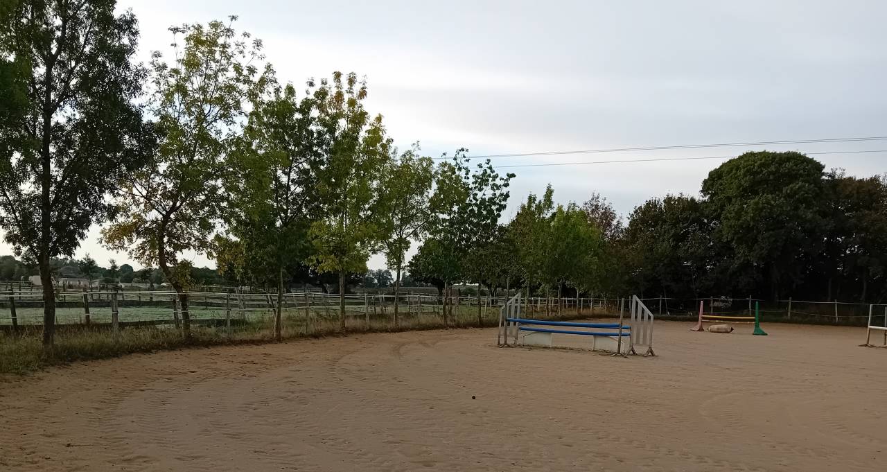 Bella dimora equestre In vendita Charente-Maritime