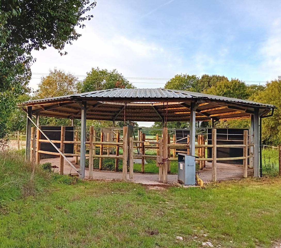 Bella dimora equestre In vendita Charente-Maritime