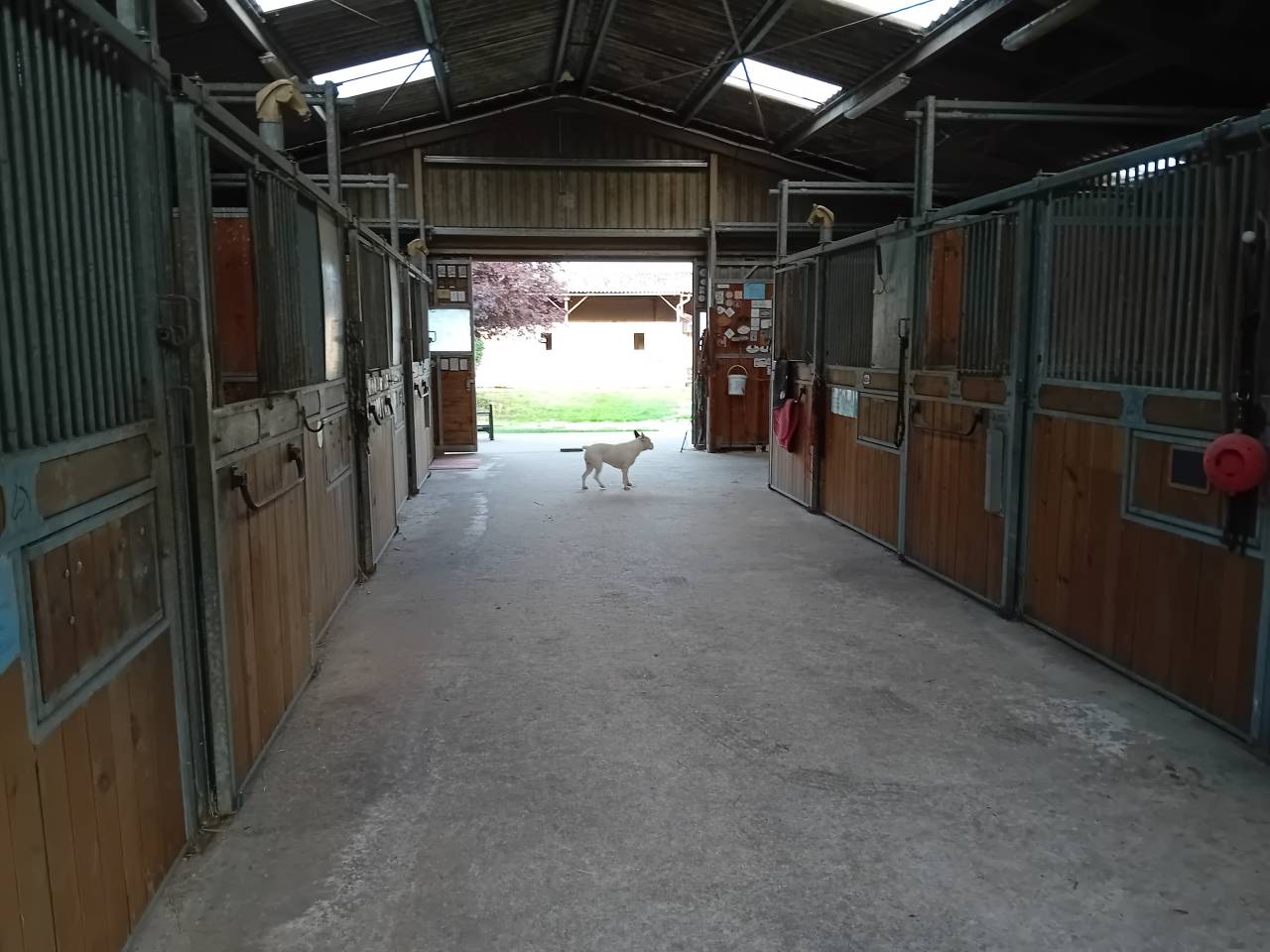 Bella dimora equestre In vendita Charente-Maritime