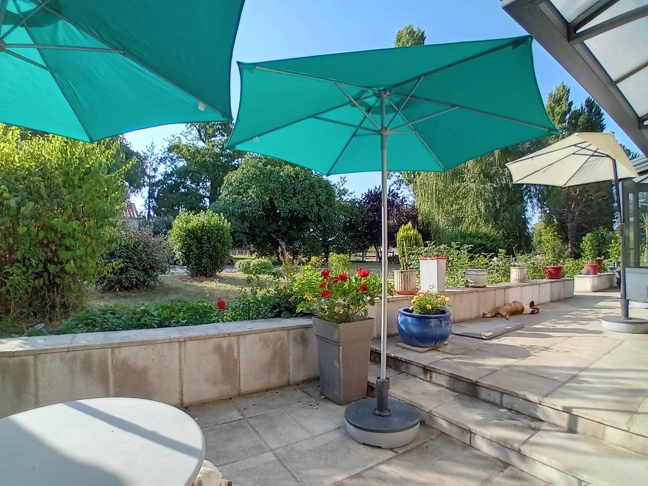 Bella dimora equestre In vendita Charente-Maritime
