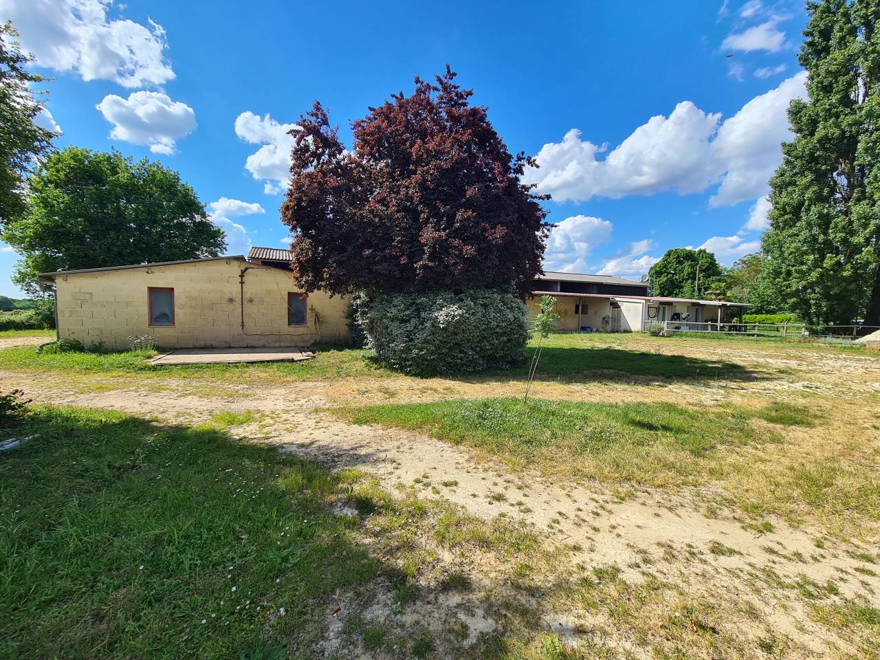 Bella dimora equestre In vendita Charente-Maritime