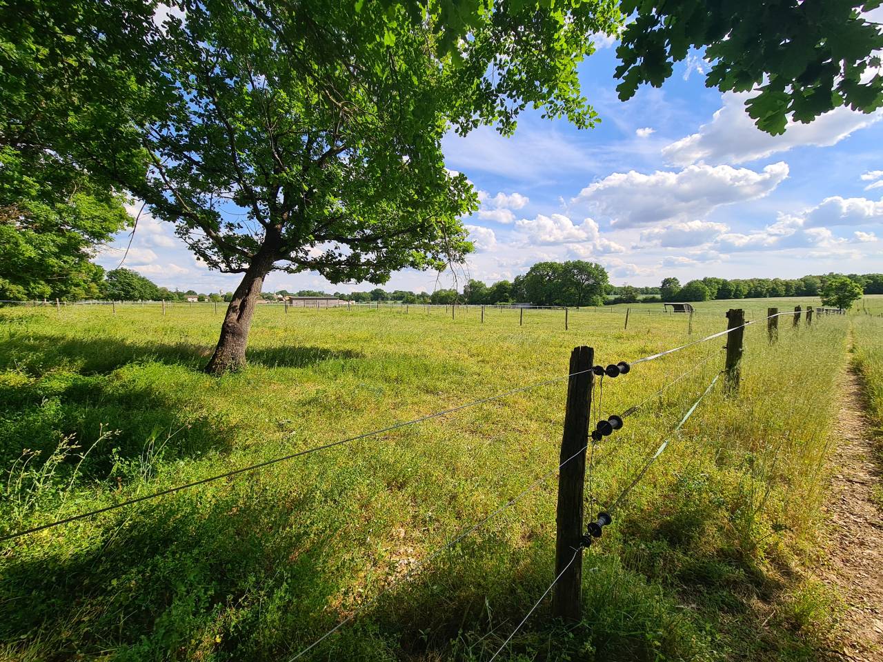 Bella dimora equestre In vendita Charente-Maritime