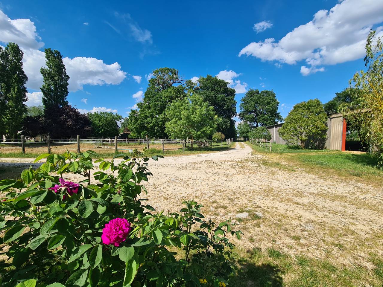 Bella dimora equestre In vendita Charente-Maritime