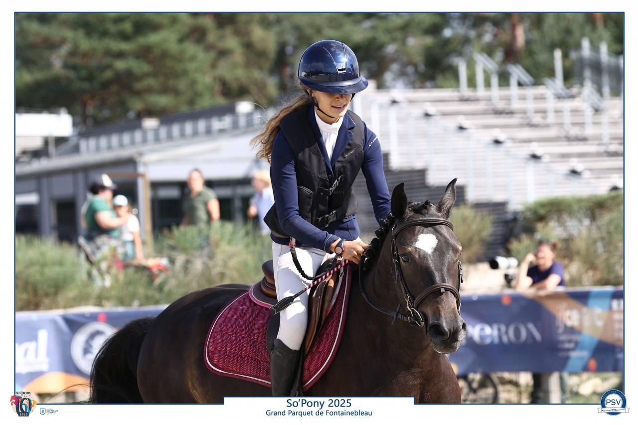 Castrone PFS Pony Francese da Sella In vendita 2020 Nero