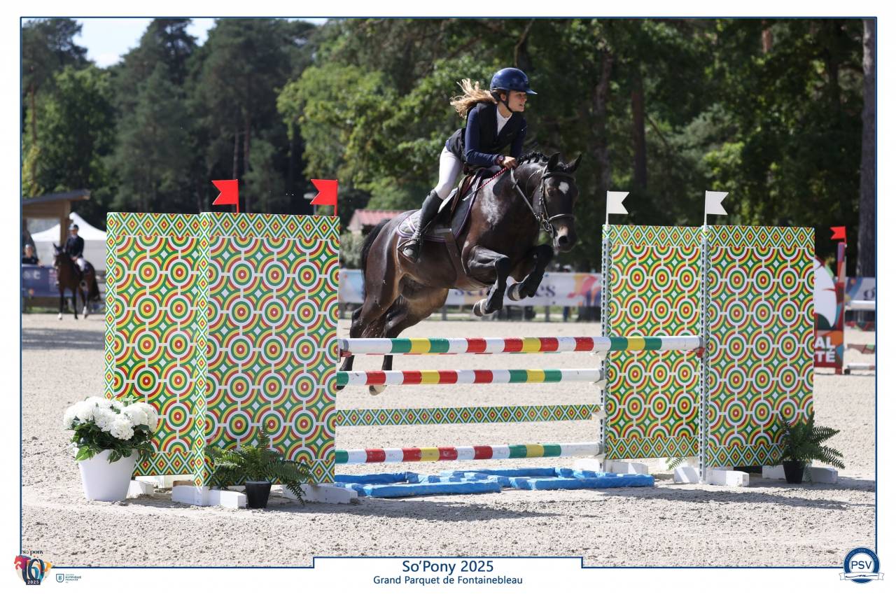 Castrone PFS Pony Francese da Sella In vendita 2020 Nero