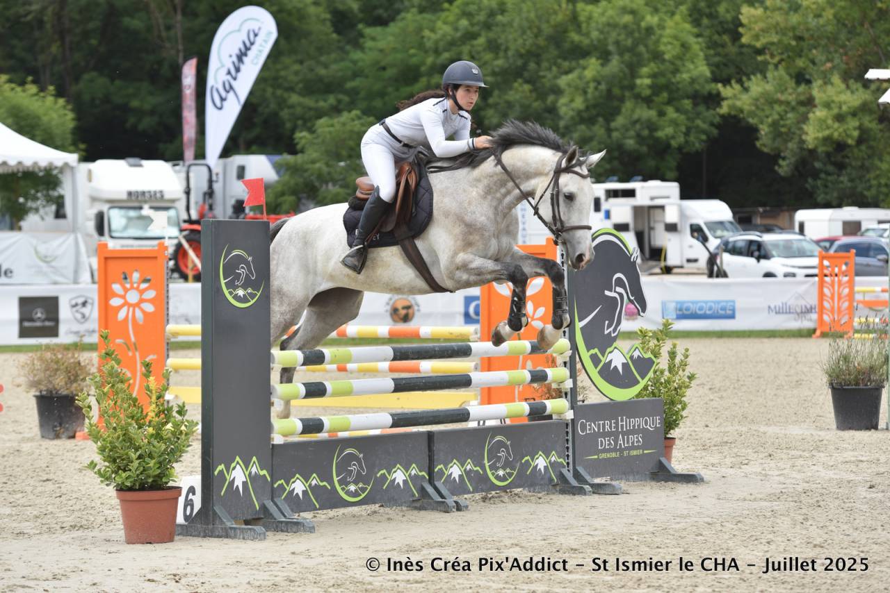 Cavalla Zangersheide In vendita 2020 Grigio