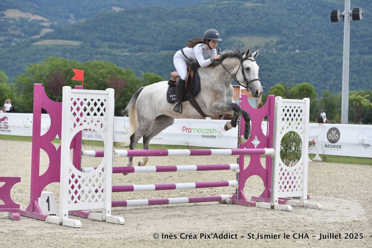 Cavalla Zangersheide In vendita 2020 Grigio