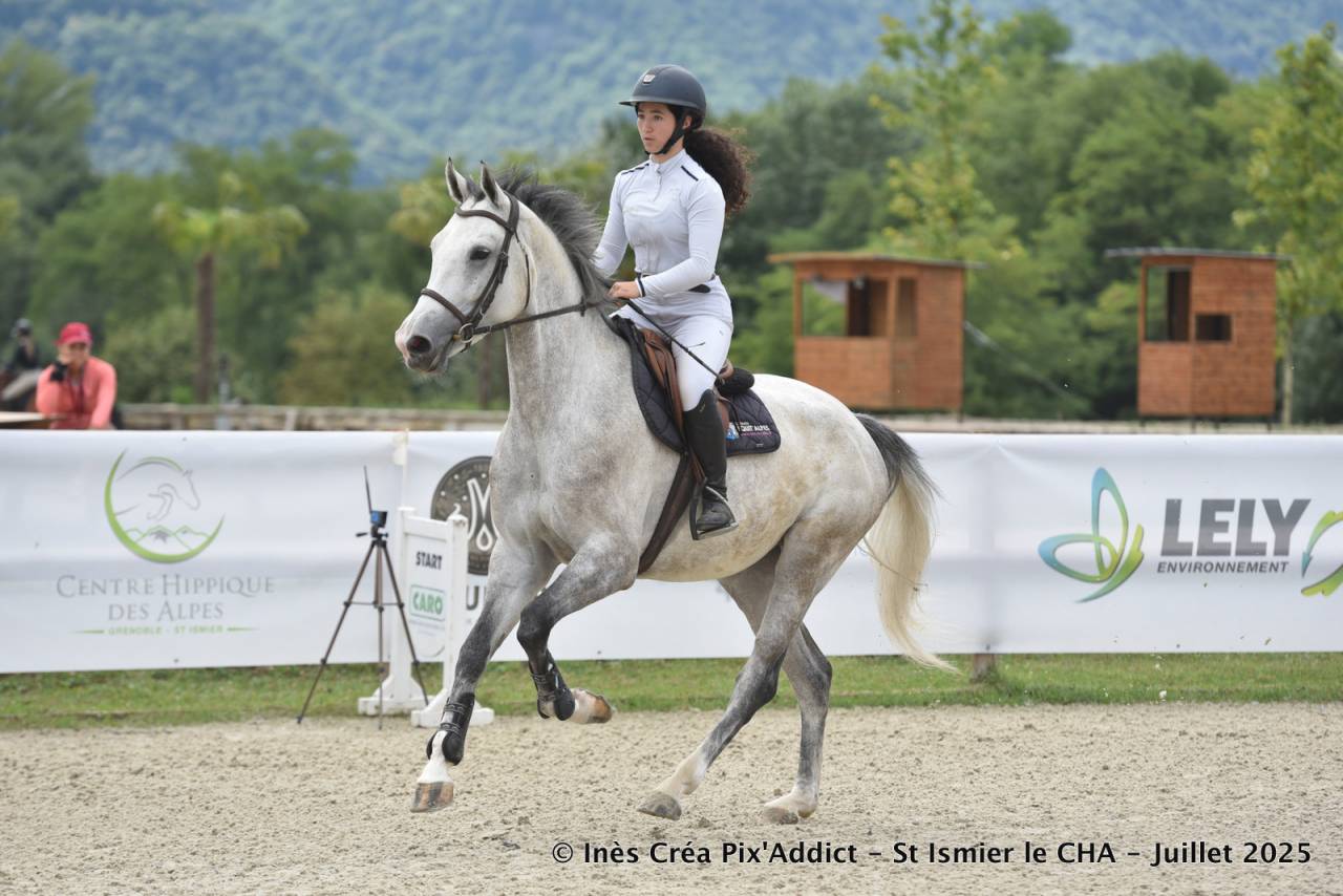 Cavalla Zangersheide In vendita 2020 Grigio