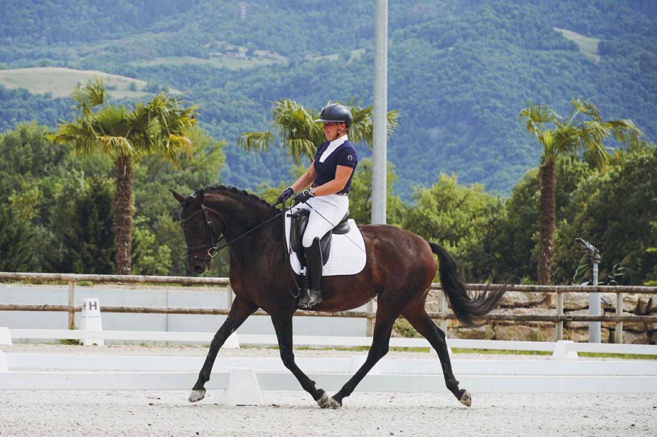 Cavalla Lusitano In vendita 2019 Baio scuro