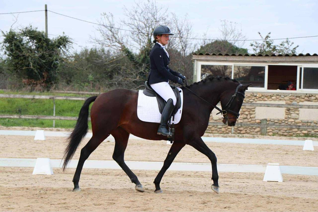 Cavalla Lusitano In vendita 2019 Baio scuro