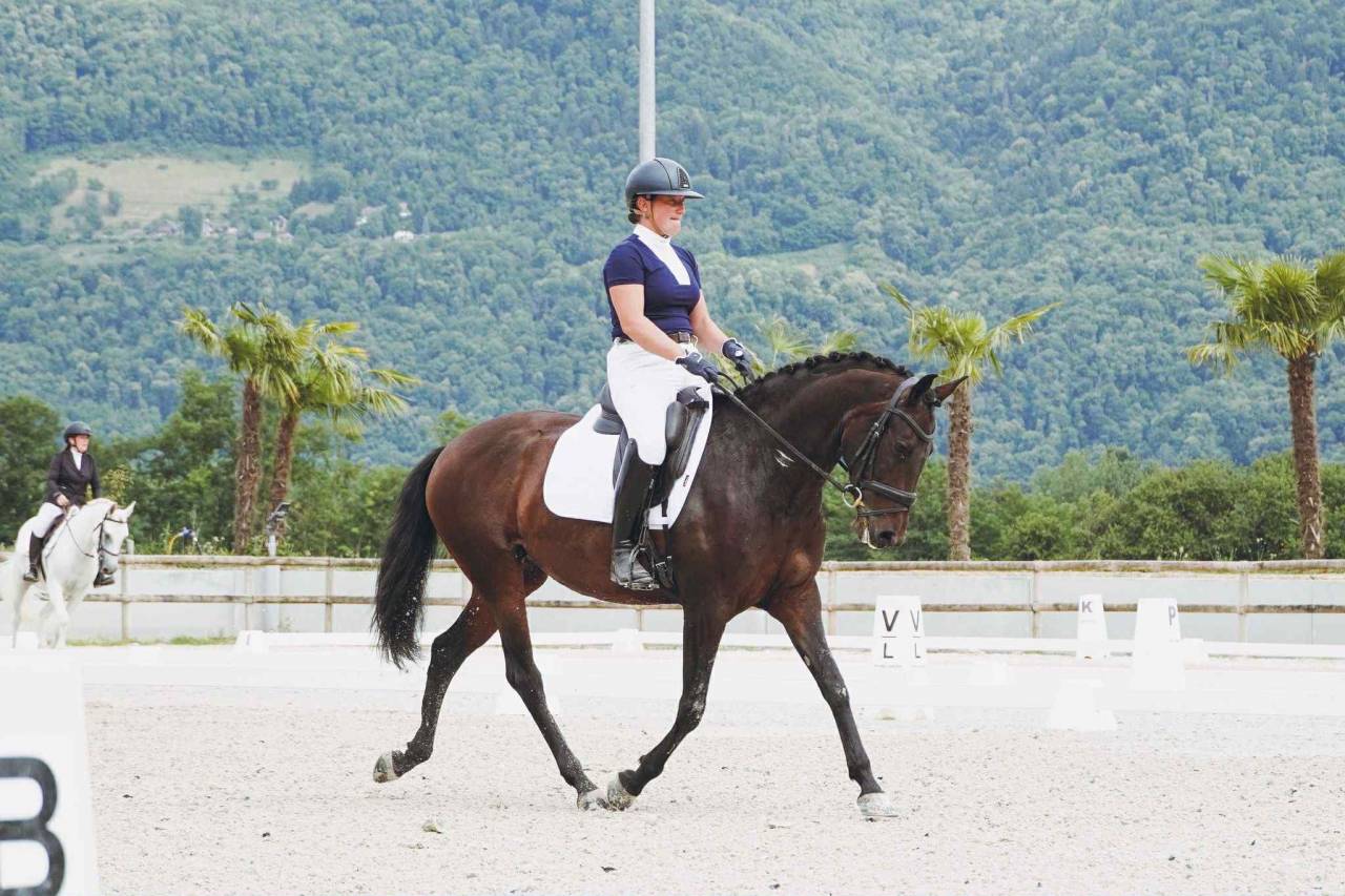 Cavalla Lusitano In vendita 2019 Baio scuro