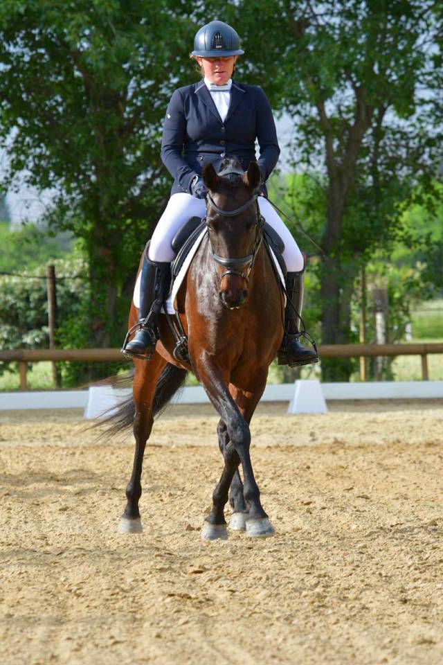 Cavalla Lusitano In vendita 2019 Baio scuro