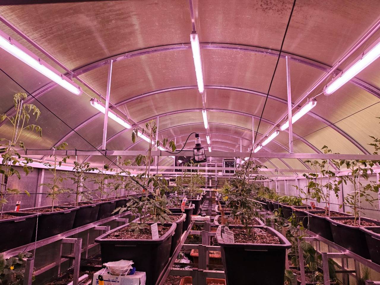 Proprietà equestre In vendita 