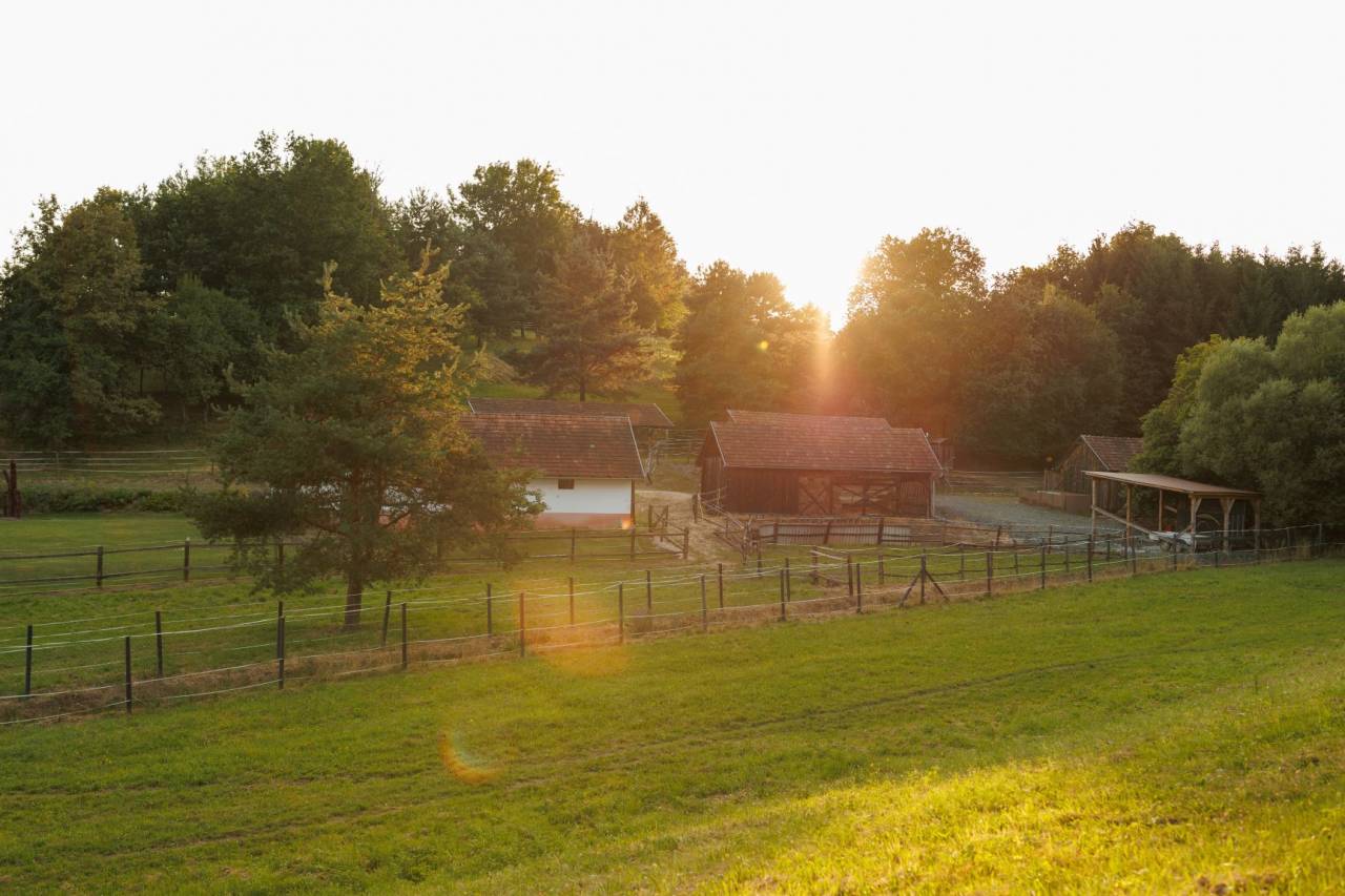 Proprietà equestre In vendita 