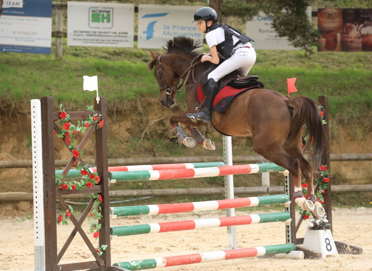 Castrone PFS Pony Francese da Sella In vendita 2016 Baio ,  REQUIEM EN LOU MINEUR, PFS