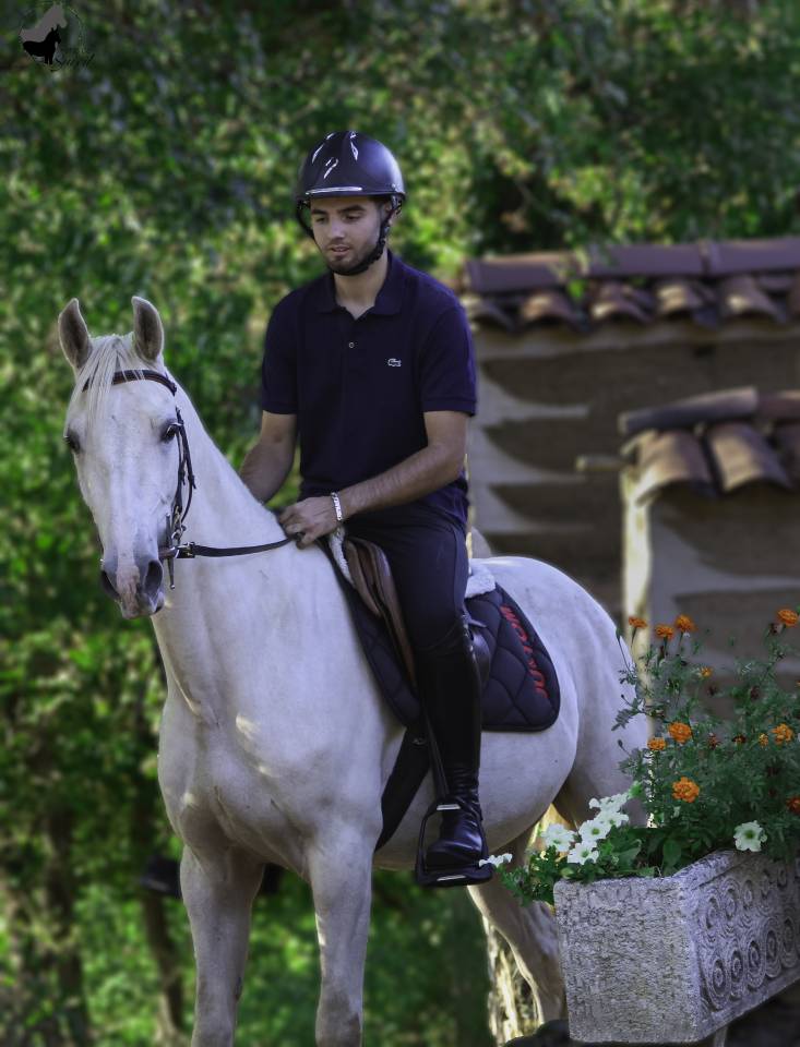 Castrone Welsh Part Bred In vendita 2022 Palomino ,  KEIZERSKROON EDISON