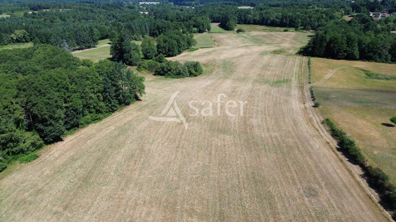 Azienda ovina In vendita Dordogne