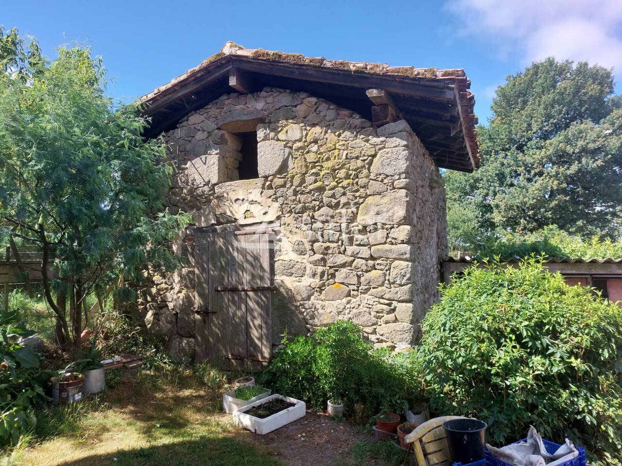 Azienda ovina In vendita Dordogne