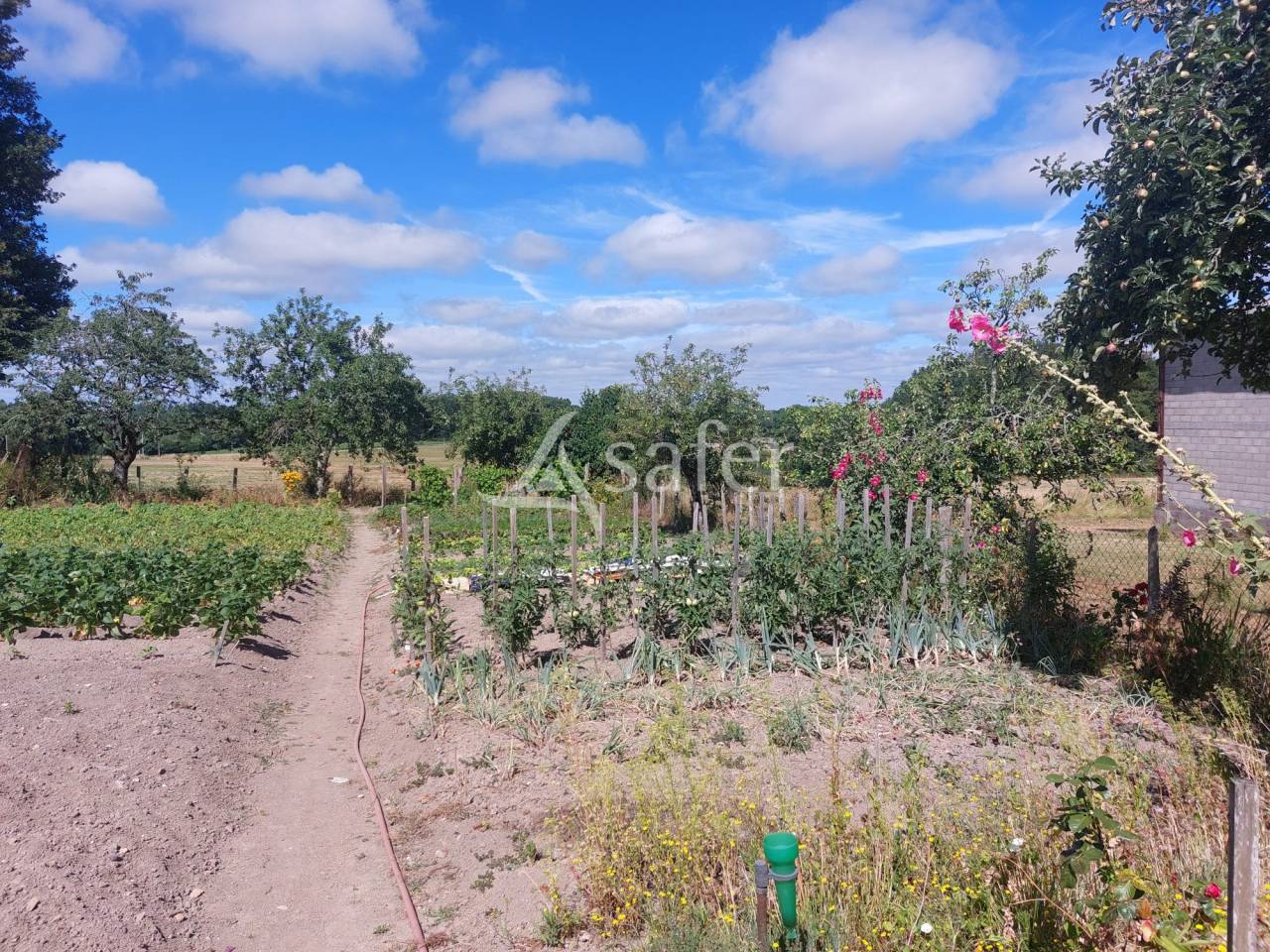 Azienda ovina In vendita Dordogne