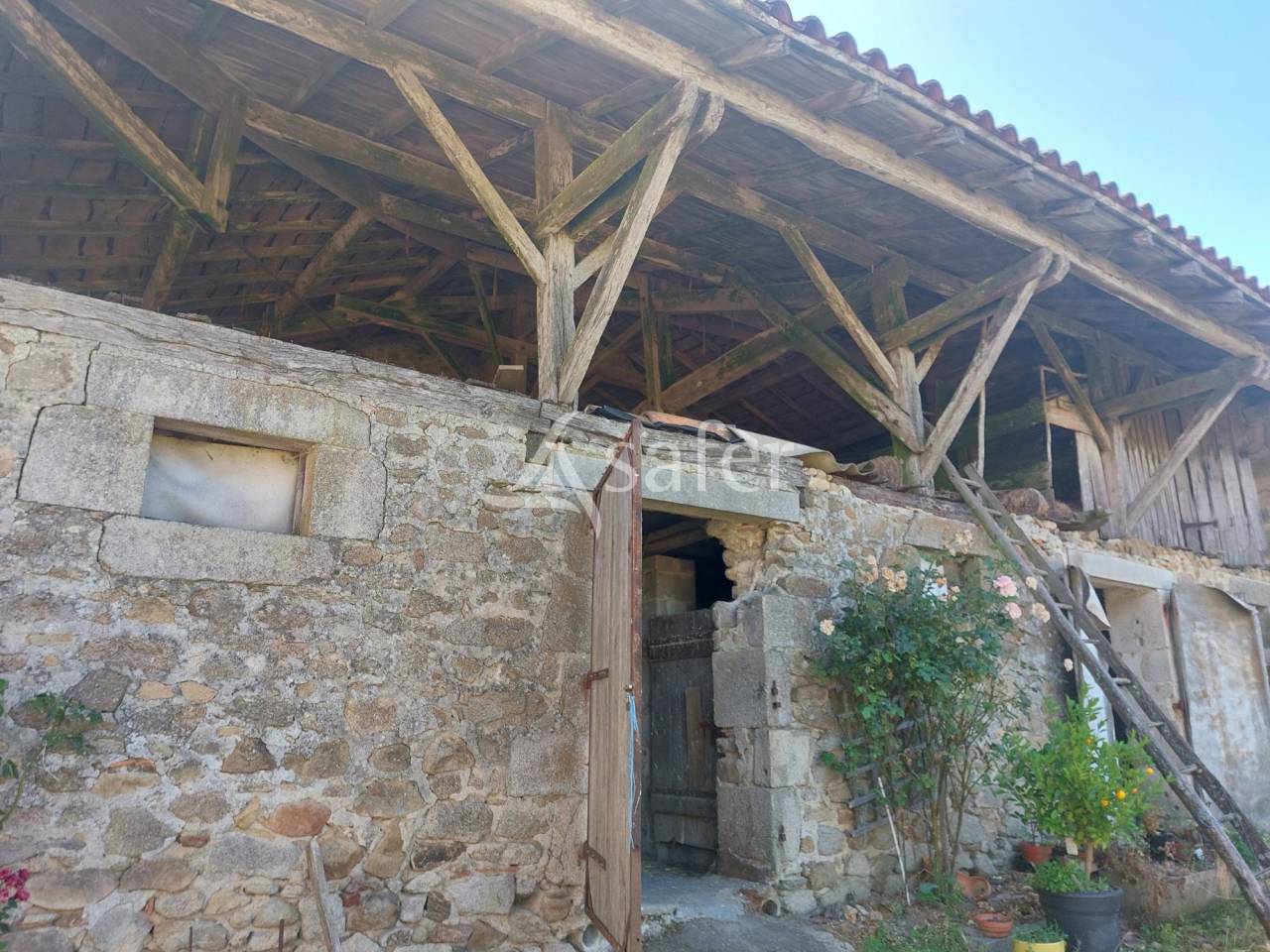 Azienda ovina In vendita Dordogne