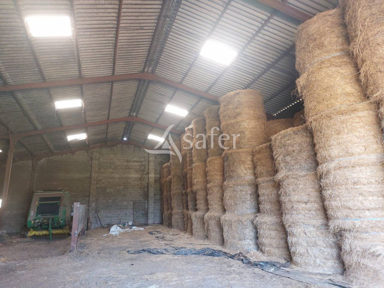 Azienda ovina In vendita Dordogne