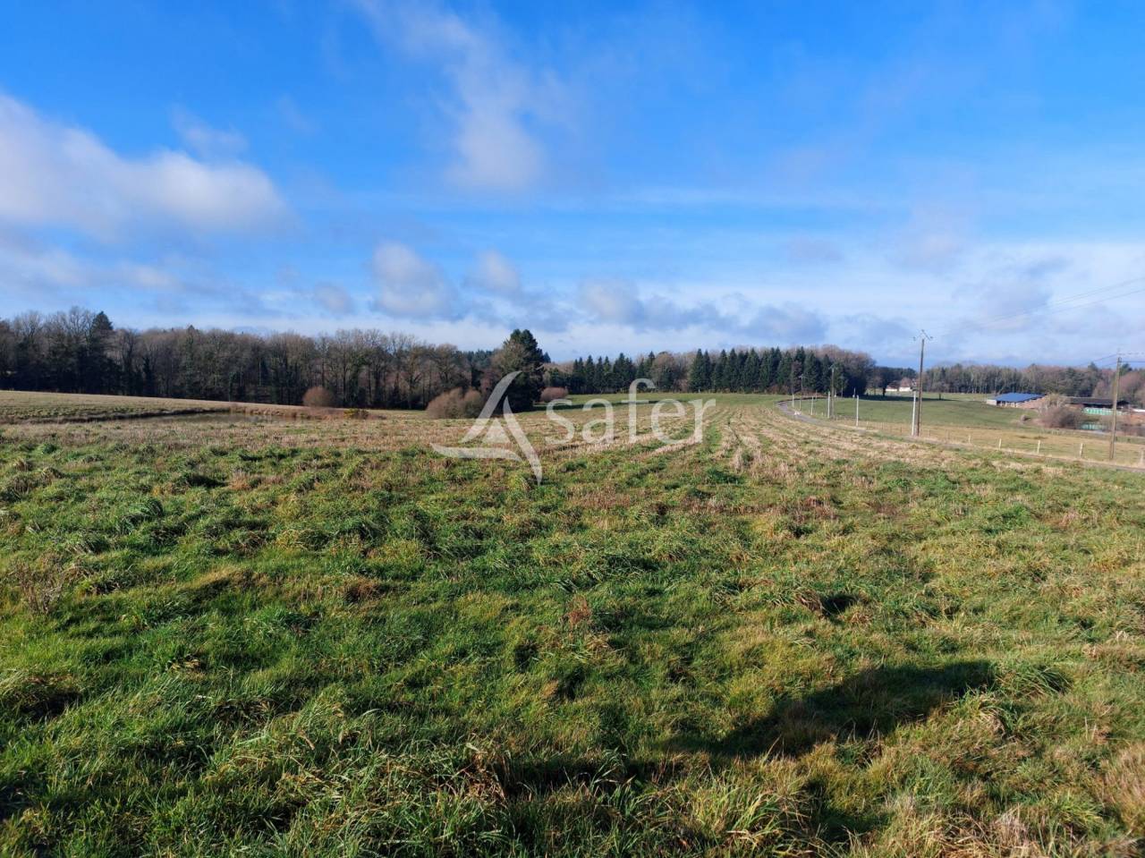 Azienda ovina In vendita Dordogne