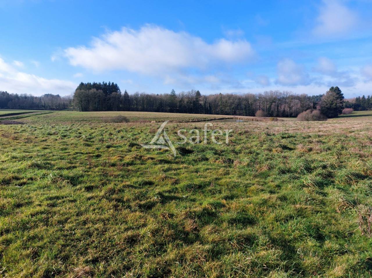 Azienda ovina In vendita Dordogne