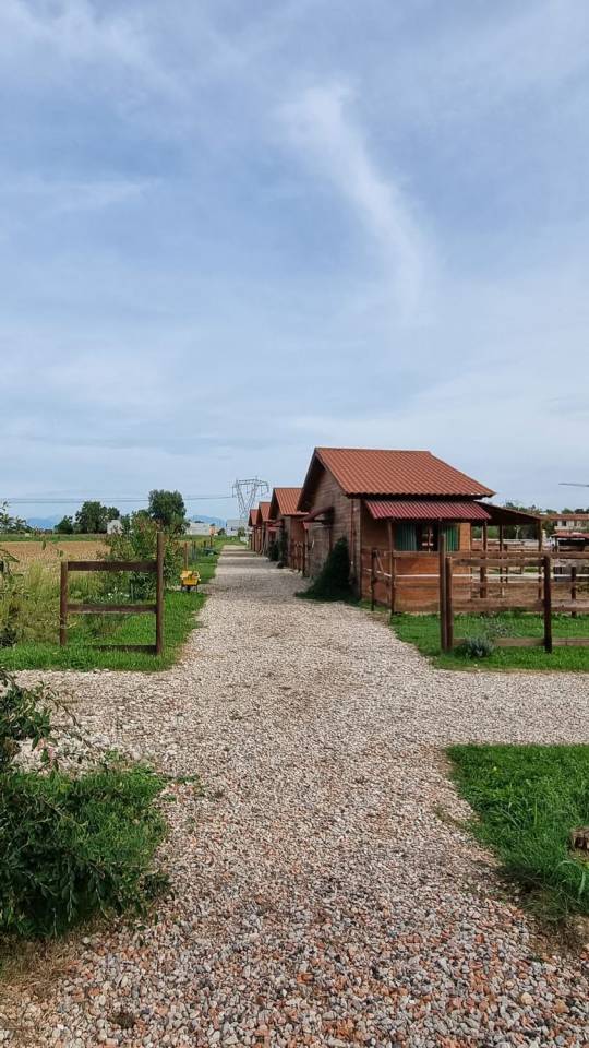 Pensione per cavalli - Ranch ai carpini - Mogliano Veneto