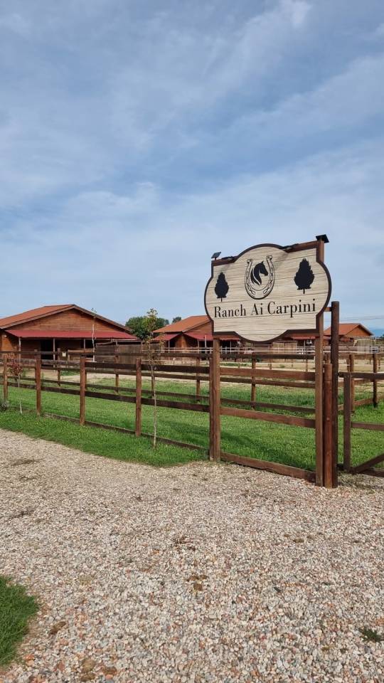 Pensione per cavalli - Ranch ai carpini - Mogliano Veneto