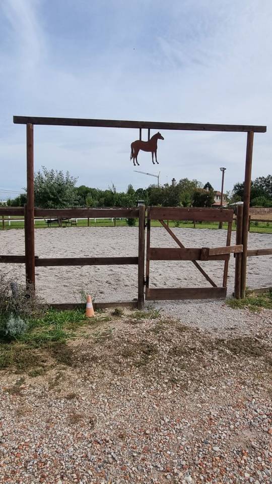 Pensione per cavalli - Ranch ai carpini - Mogliano Veneto