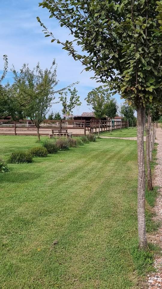 Pensione per cavalli - Ranch ai carpini - Mogliano Veneto