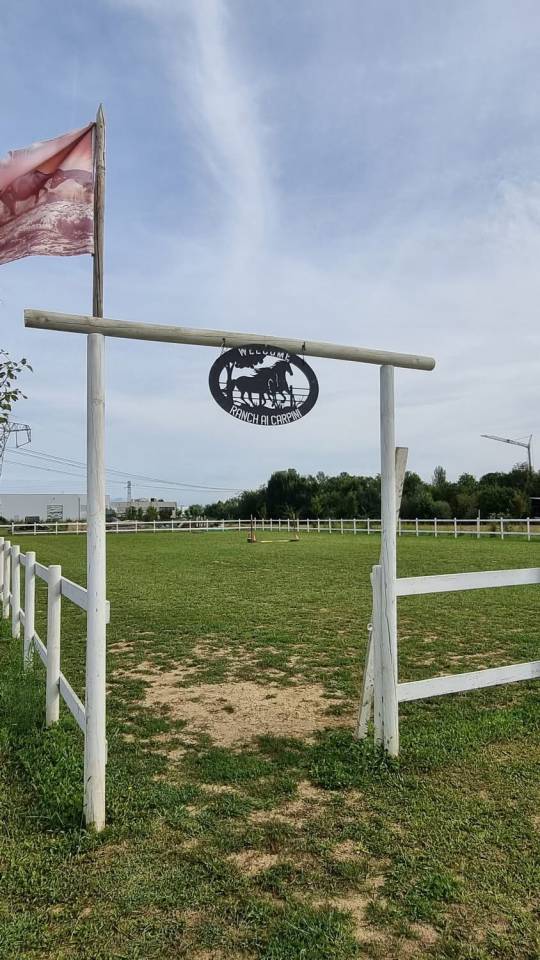 Pensione per cavalli - Ranch ai carpini - Mogliano Veneto