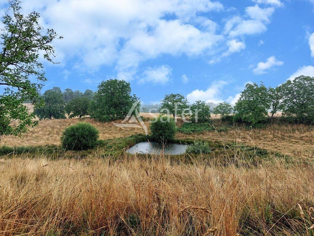 Azienda agricola In vendita Corrèze