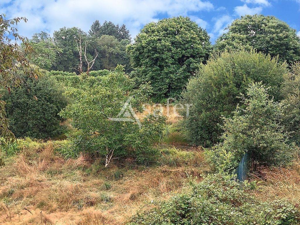 Azienda agricola In vendita Corrèze