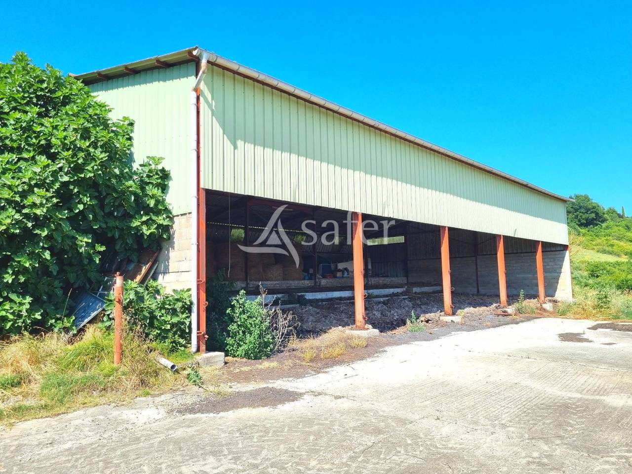 Azienda agricola In vendita Tarn-et-Garonne