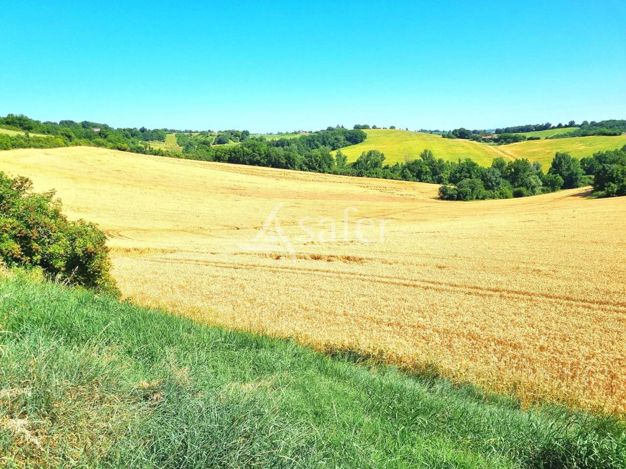 Azienda agricola In vendita Tarn-et-Garonne