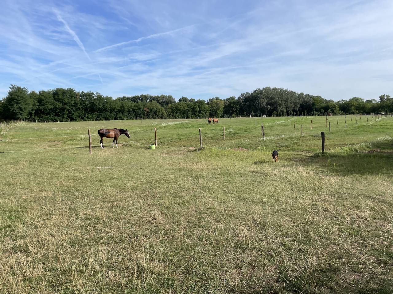 Centro ippico In vendita Is&egrave;re
