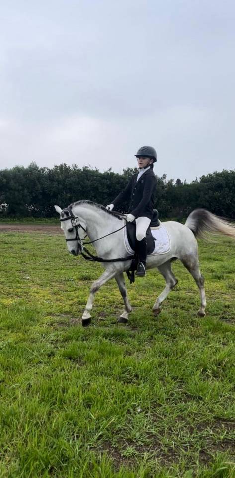 Pony dressage 